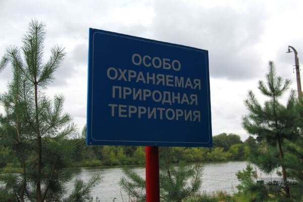 Полесский заказник Средняя Припять