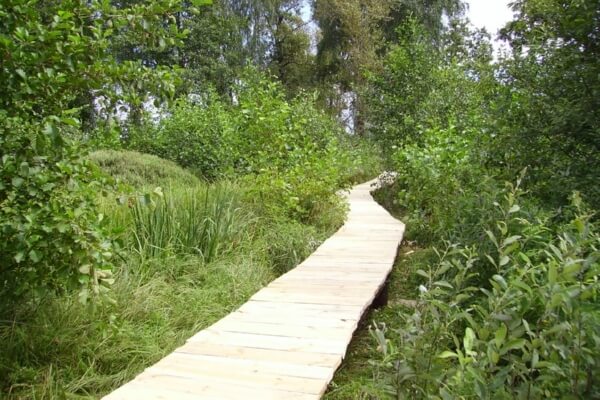 Экологические тропы Беларуси