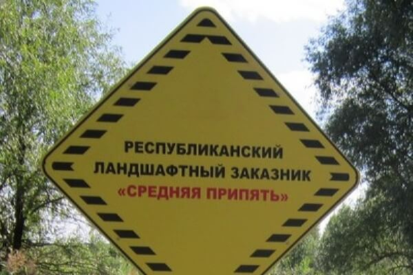 Общественные обсуждения проекта Плана управления Республиканским заказником «Средняя Припять» на территории Лунинецкого района