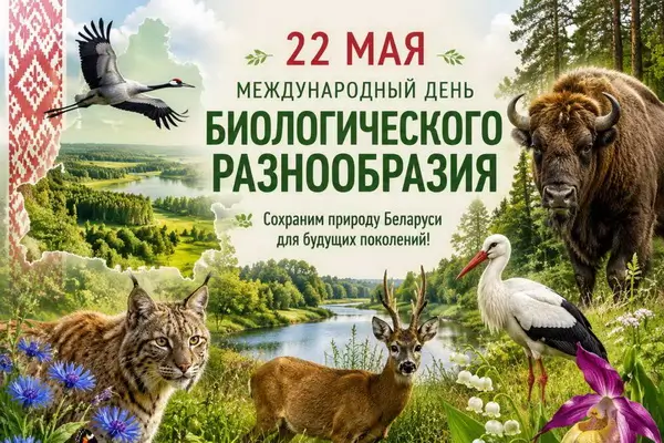 22 мая – Международный день биологического разнообразия