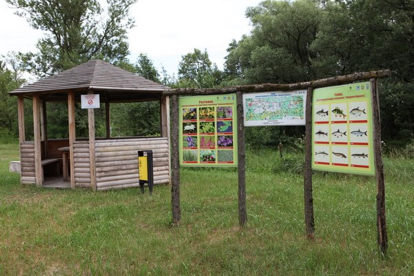 Экологическая тропа «По лозовой Долине»