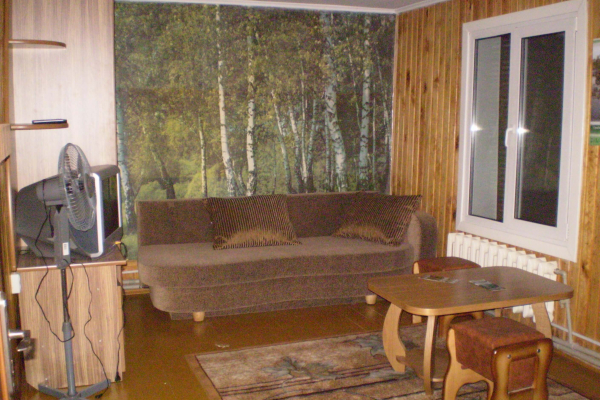 01-Kaminnaya-komnata-2
