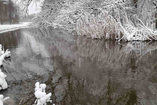 2-fevralya-vsemirnyy-den-vodnobolotnykh-ugodiy