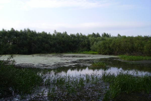 IMGP0059