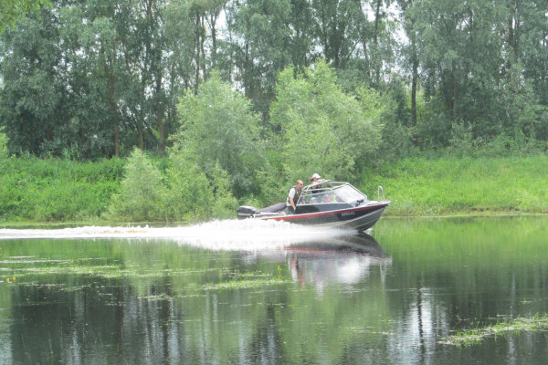 IMG 0086