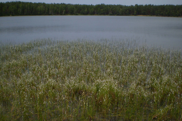 P4010049