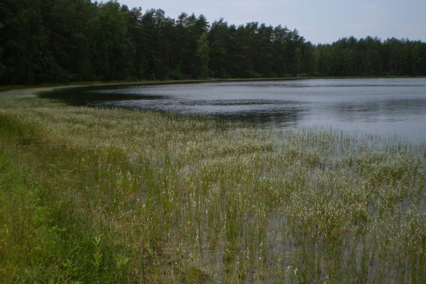 P4010051