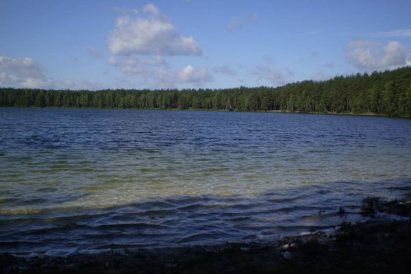 P5060062