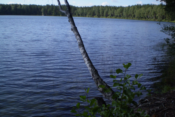 P5060063