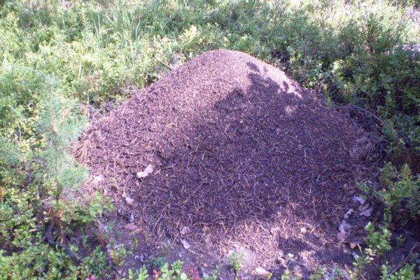 P5060070
