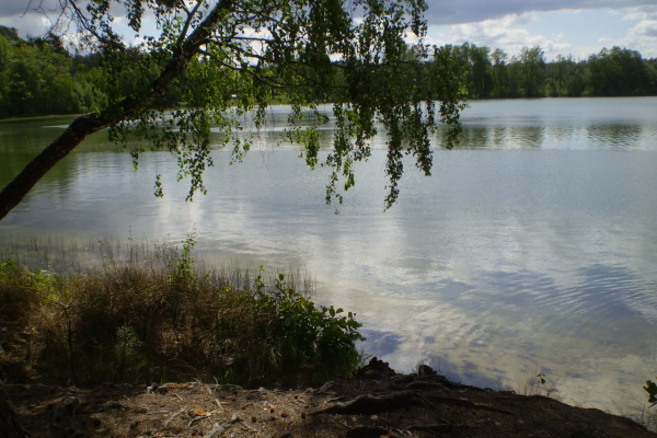 P5280091